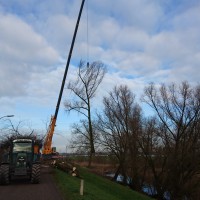 Bomen zagen