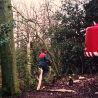 Bomen zagen