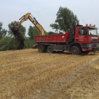 Bomen zagen