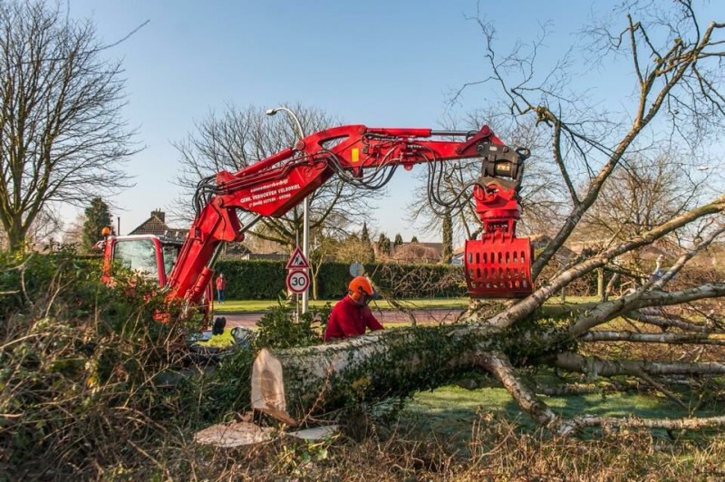 aannemer groenvoorziening maasdriel